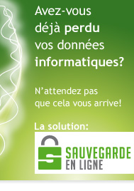 Sauvegarde_en_ligne